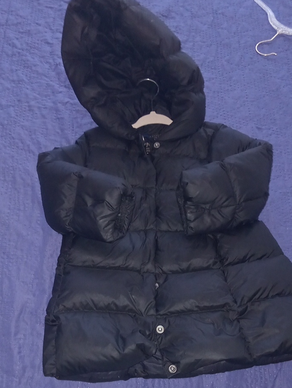Polo by Ralph Lauren Girls Black Hooded Puffer Jacket